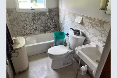13251 Makinen Road, Kaleva, MI 49645 - Photo 28