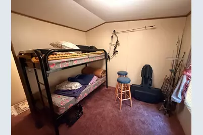 6661 S Tacoma Street, Idlewild, MI 49642 - Photo 10