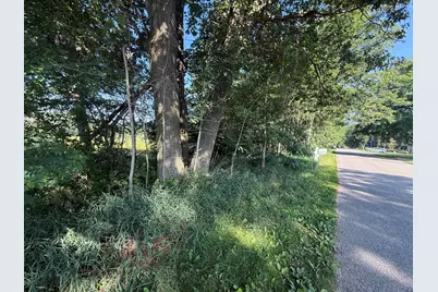 W Royal Road #Lot 1, Canadian Lakes, MI 49346 - Photo 4