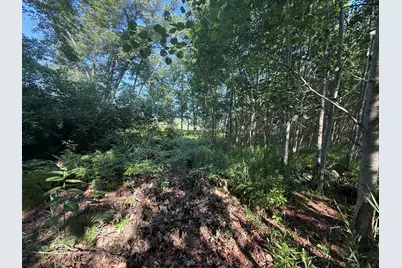 W Royal Road #Lot 1, Canadian Lakes, MI 49346 - Photo 6
