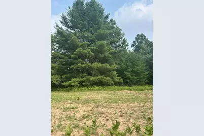 7893 S 220th Avenue, Reed City, MI 49677 - Photo 2