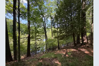 8316 N Aqua Drive, Irons, MI 49644 - Photo 22