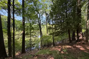 8316 N Aqua Dr, Irons, MI 49644 - Photo 22