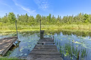 22713 Pogy Lake Dr, Evart, MI 49631 - Photo 18