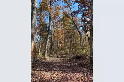 V/L Newcosta Avenue, Howard City, MI 49329 - Photo 6