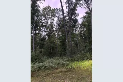 V/L Newcosta Avenue, Howard City, MI 49329 - Photo 2