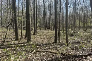 Halfmoon Lake Rd, Hillsdale, MI 49242 - Photo 1
