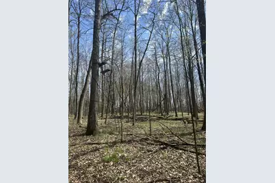 Halfmoon Lake Rd., Hillsdale, MI 49242 - Photo 6