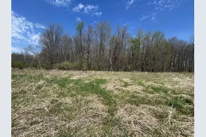 Halfmoon Lake Rd., Hillsdale, MI 49242 - Photo 10