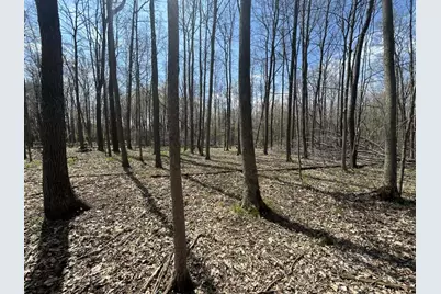Halfmoon Lake Rd., Hillsdale, MI 49242 - Photo 8