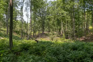 3820 N Beech Ave, White Cloud, MI 49349 - Photo 32