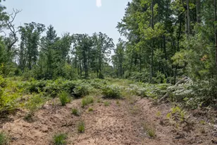 3820 N Beech Ave, White Cloud, MI 49349 - Photo 34