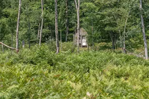 3820 N Beech Ave, White Cloud, MI 49349 - Photo 30