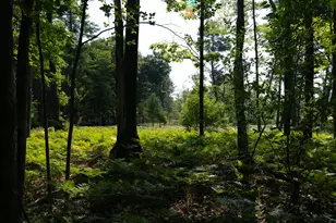 3820 N Beech Ave, White Cloud, MI 49349 - Photo 26