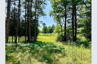 9638 8 Mile Road, Kaleva, MI 49645 - Photo 4