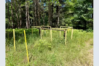 9638 8 Mile Road, Kaleva, MI 49645 - Photo 12