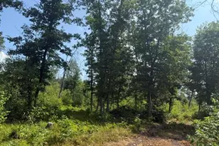 7760 S Merrillville Rd, Baldwin, MI 49304 - Photo 1