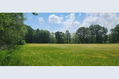 Vl Kingsbury Road #Parcel D, Delton, MI 49046 - Photo 2