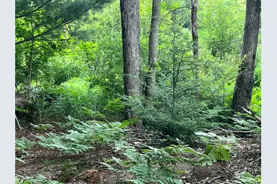 Lot 13 Northern Drive, Pentwater, MI 49449 - Photo 10