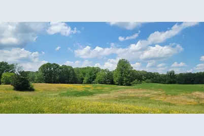 Vl Kingsbury Road #Parcel C, Delton, MI 49046 - Photo 4
