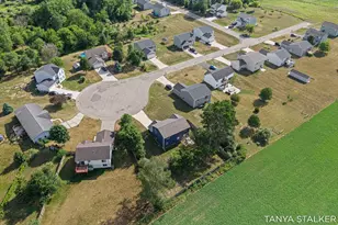 6879 Sydney St, Muir, MI 48860 - Photo 50