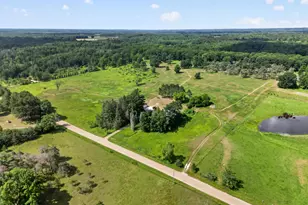 12423 20th Ave N, Marion, MI 49665 - Photo 52