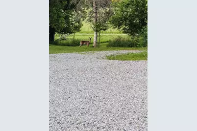 12423 20th Avenue N, Marion, MI 49665 - Photo 54