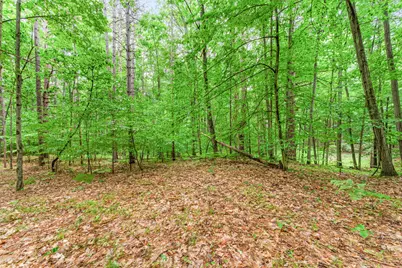 7975 110th Avenue, Evart, MI 49631 - Photo 28