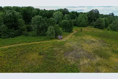 17219 7 Mile Road, Reed City, MI 49677 - Photo 4