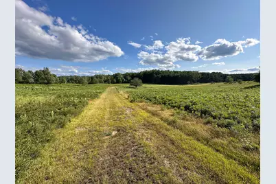 17219 7 Mile Road, Reed City, MI 49677 - Photo 30
