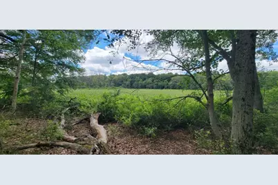 Vl Kingsbury Road #Parcel B, Delton, MI 49046 - Photo 4