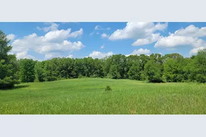 Vl Kingsbury Road #Parcel B, Delton, MI 49046 - Photo 2