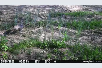 Vl Kingsbury Road #Parcel B, Delton, MI 49046 - Photo 12