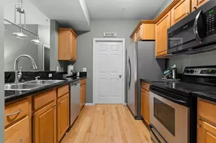 273 Scio Village Ct, Ann Arbor, MI 48103 - Photo 18