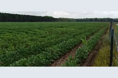 Johnson Road, Kaleva, MI 49645 - Photo 8