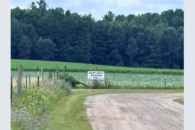 Johnson Road, Kaleva, MI 49645 - Photo 20