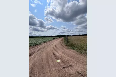Johnson Road, Kaleva, MI 49645 - Photo 12