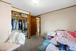 11383 Bale Rd, Lakeview, MI 48850 - Photo 32