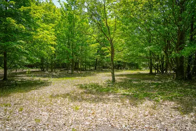 V/L W Adams Road, Pentwater, MI 49449 - Photo 12