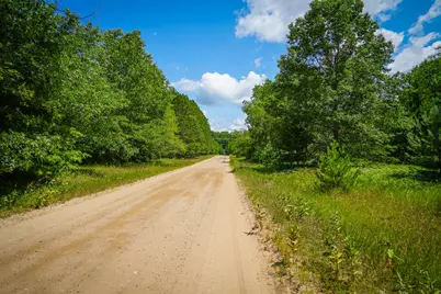 V/L W Adams Road, Pentwater, MI 49449 - Photo 22