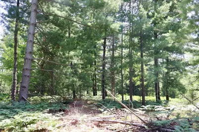 001 E Greenwood Road, Prescott, MI 48756 - Photo 10