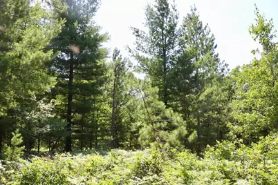 001 E Greenwood Road, Prescott, MI 48756 - Photo 20