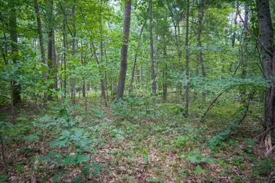 V/L S 184th Ave, Holton, MI 49425 - Photo 8