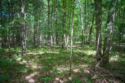 V/L S 184th Ave, Holton, MI 49425 - Photo 10