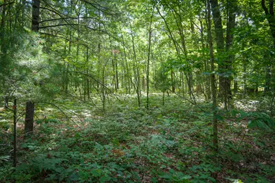 V/L S 184th Ave, Holton, MI 49425 - Photo 12