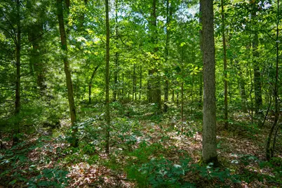 V/L S 184th Ave, Holton, MI 49425 - Photo 14