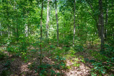 V/L S 184th Ave, Holton, MI 49425 - Photo 16