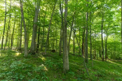 2654 E Drive S, Battle Creek, MI 49014 - Photo 24