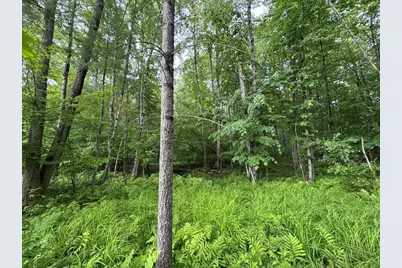 Pinecrest Drive, Gladwin, MI 48624 - Photo 20