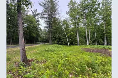 Pinecrest Drive, Gladwin, MI 48624 - Photo 1